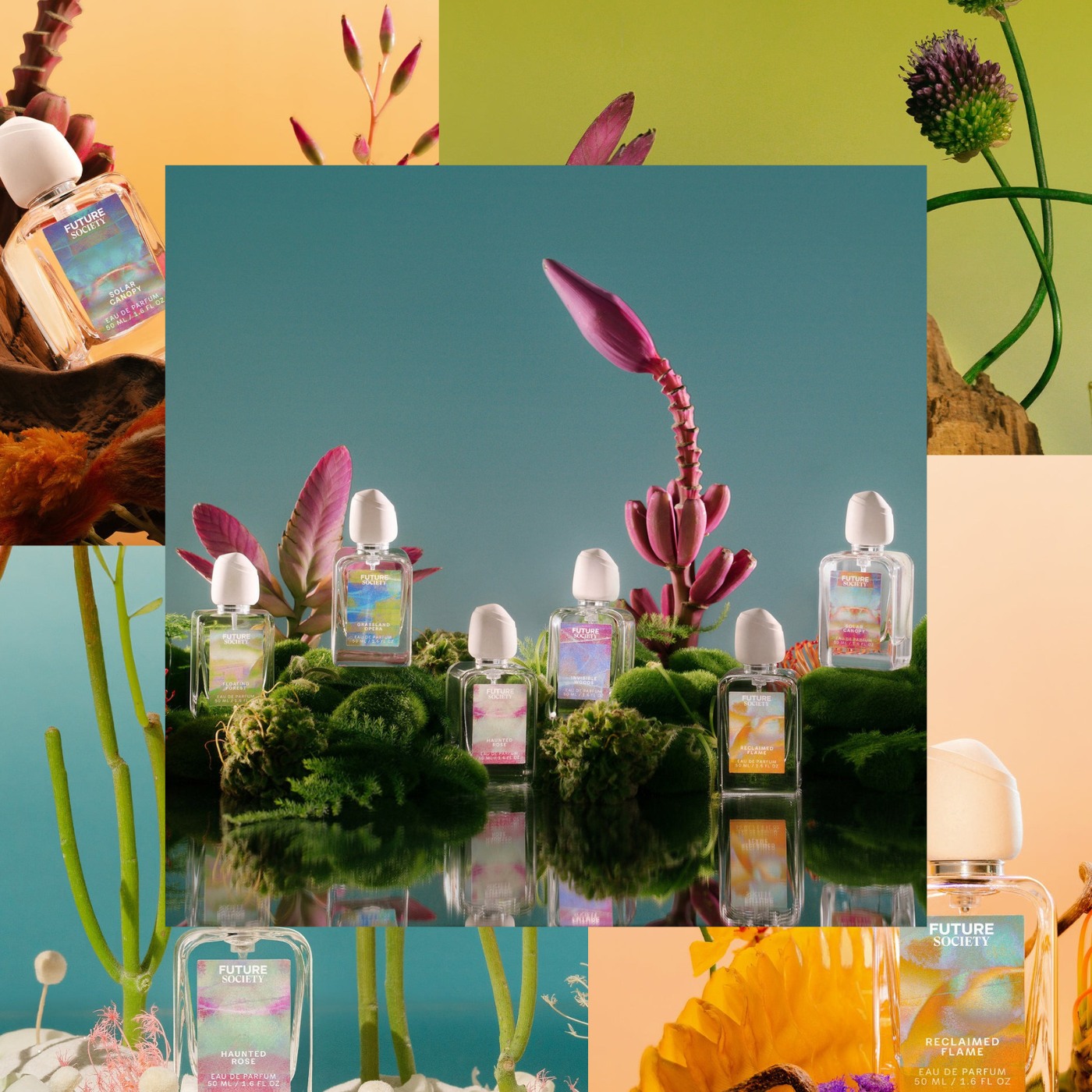 Orange Flower Bloom Zara perfume - a new fragrance for women 2022